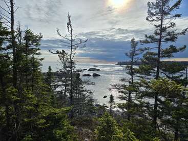 Le soleil brille à travers le ciel nuageux sur un océan scintillant. Le littoral rocheux est encadré par de grands arbres à feuilles persistantes, créant un paysage côtier paisible et accidenté.