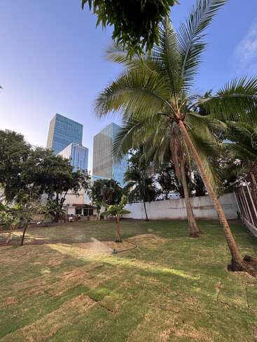 A lush green garden with palm trees and sprinklers sits in the foreground, while tall modern glass buildings rise against a clear blue sky in the background.