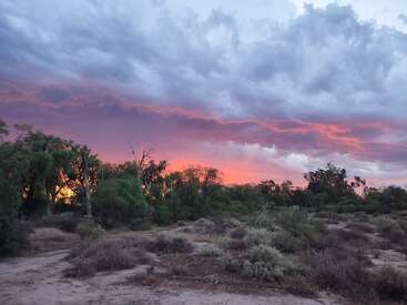 Ein atemberaubender Sonnenuntergang erhellt den Himmel in leuchtenden Purpur- und Orangetönen über einer kargen, zerklüfteten Landschaft mit Büschen und silhouettierten Bäumen unter dramatischen Wolken.