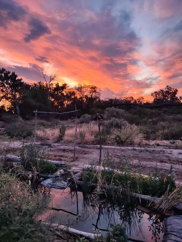 Um pôr do sol de tirar o fôlego com nuvens laranja, roxas e rosa vívidas sobre um jardim rústico. Os reflexos brilham nos leitos de água, cercados por vegetação selvagem e árvores.