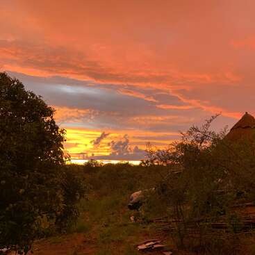 A breathtaking sunset paints the sky a vibrant orange and gold. Trees and bushes silhouette the horizon, with mysterious structures blending into the serene landscape.