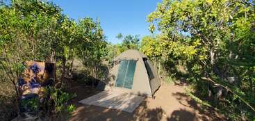 A green tent sits on a mat surrounded by lush trees under a bright blue sky. Nearby, a chair with a lion face design is visible.