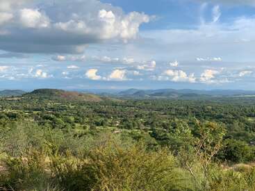 This image shows a vast green landscape with rolling hills, scattered bushes, and trees under a bright blue sky filled with large, fluffy clouds. Peaceful scene.