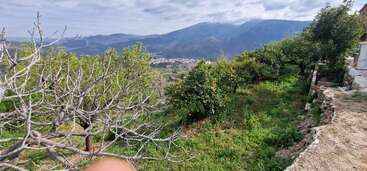 This image features a hilly landscape with fruit trees, some bare and some with oranges, lush greenery, distant mountains, and a cloudy sky above a small village.