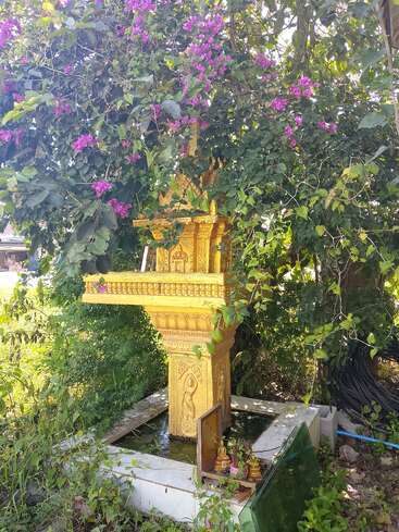 A golden spirit house stands amidst lush greenery and flowering vines, adorned with small offerings, partially shaded by purple bougainvillea blossoms in a serene outdoor setting.