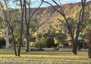 Sunlight filters through tall trees onto grassy ground. In the background, there's a rustic house and a rugged, rocky hill beneath a clear blue sky.