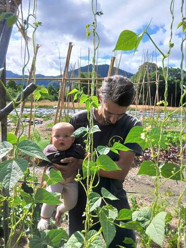 A man holds a baby among green bean plants in a lush garden. Bamboo stakes support the plants. Mountains and cloudy sky are visible behind them.