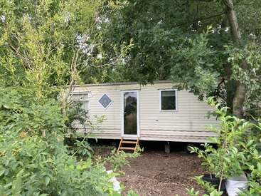 Ein cremefarbenes Wohnmobil steht zwischen grünen Bäumen und Büschen. Es hat eine Glastür, Stufen, zwei Fenster und steht auf einer kleinen Lichtung.