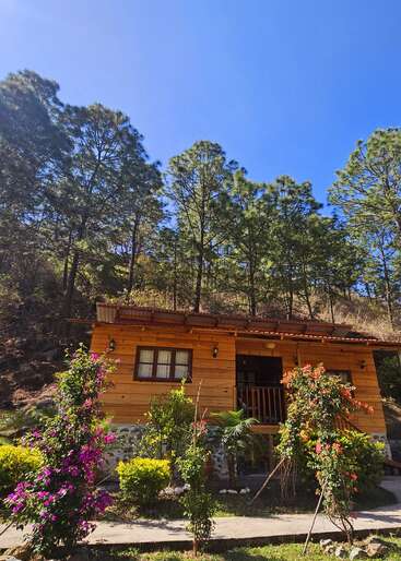 Une cabane en bois confortable se trouve devant une forêt verte et luxuriante. Des fleurs colorées et des buissons bien entretenus entourent la maison sous un ciel d'un bleu éclatant.