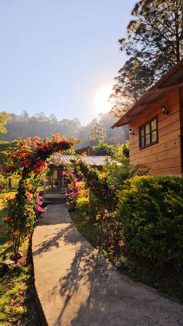 A charming wooden cabin sits amid lush greenery and colorful flowers. A sunlit garden path leads through a vibrant floral arch, surrounded by serene nature.