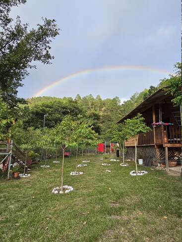 Un arc-en-ciel vibrant s'étend sur une cour verdoyante avec de jeunes arbres bordés de rochers blancs, à côté d'une maison rustique en bois entourée par la nature.