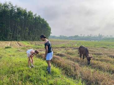 Deux personnes se tiennent dans un champ herbeux où la moisson a eu lieu, l'une d'elles est penchée en avant. Une vache brune broute à proximité. Des arbres et un ciel nuageux forment l'arrière-plan, créant une scène sereine.