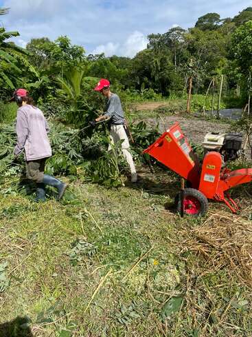 Deux personnes, coiffées de casquettes rouges et vêtues de tenues de travail, alimentent une déchiqueteuse rouge en branches coupées, dans un cadre extérieur tropical luxuriant, au milieu de la verdure.