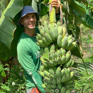 Un hombre con una camiseta verde y un sombrero de pescador está de pie al aire libre, sonriendo mientras sostiene un racimo de plátanos verdes frescos, impresionantemente grande, rodeado de una exuberante vegetación.