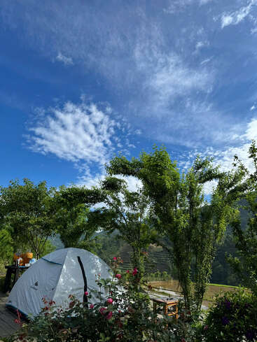 Una tienda de campaña se alza en medio de una exuberante vegetación y flores en flor, bajo un cielo azul brillante salpicado de nubes, creando una tranquila escena al aire libre.