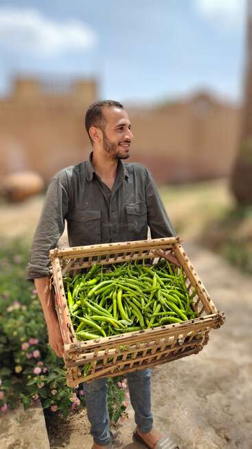 Ein lächelnder Mann in einem grauen Hemd hält einen großen geflochtenen Korb, der mit frischen grünen Chilischoten gefüllt ist, in einem sonnigen Garten.