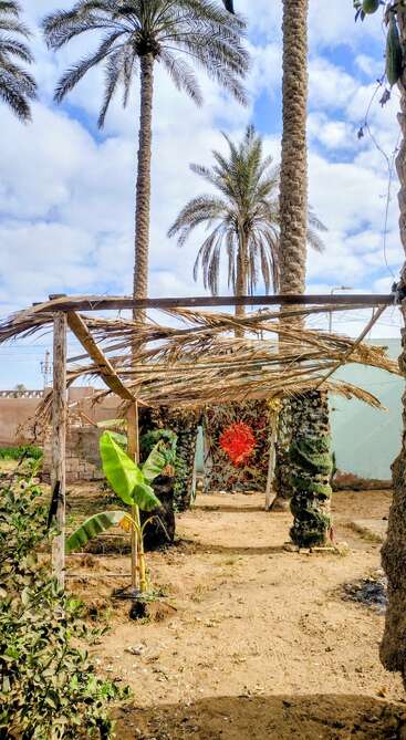 Hohe Palmen umgeben eine rustikale Gartenszene mit einer strohgedeckten Dachkonstruktion, lebendiger Textilkunst, kleinen Pflanzen, sandigem Boden und einem überwiegend bewölkten blauen Himmel darüber.