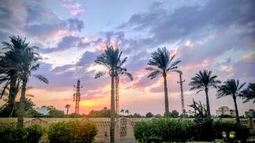 Hohe Palmen säumen eine Straße bei Sonnenuntergang. Der Himmel ist dramatisch mit bunten Wolken. Im Vordergrund sind grüne Büsche und ein Steinzaun zu sehen.