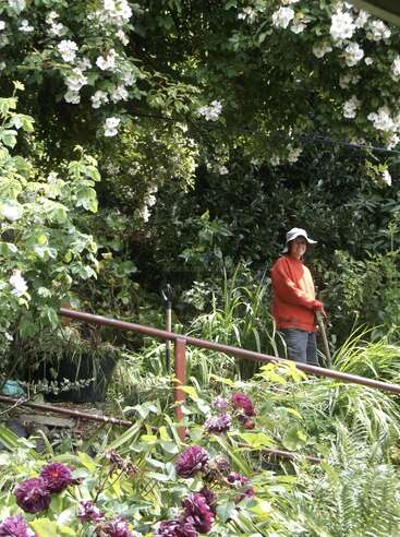 Una persona con sudadera roja y sombrero para el sol está de pie en un exuberante jardín verde, rodeada de flores, árboles y plantas en flor, con herramientas de jardinería en la mano y sonriendo.