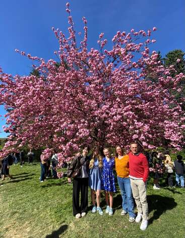 Eine Gruppe von fünf Personen posiert unter einem blühenden Kirschbaum und genießt einen sonnigen Tag in einem Park mit blauem Himmel über sich.