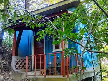 Une petite cabane bleue avec des garnitures rouges est nichée dans les bois. Des feuilles et des branches entourent la structure confortable, lui conférant une atmosphère cachée et paisible.