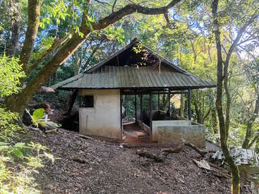 Un vieux bâtiment abandonné avec un toit métallique incliné se dresse dans une forêt dense et verdoyante. La lumière du soleil filtre à travers les arbres, illuminant la scène rustique et envahie par la végétation.