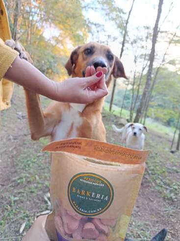 A person gives treats to a brown dog standing on two legs in a forest, with another dog and a Barkeria dog treat bag visible.