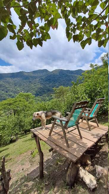 A rustic wooden platform with two chairs overlooks lush green mountains. A dog stands on the platform, surrounded by vibrant trees under a partly cloudy sky.