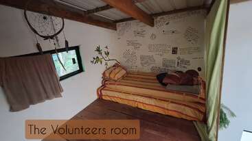 A cozy volunteer’s room with a striped bed, handwritten notes on the wall, dreamcatcher, small window with curtain, and green plants, exuding warmth and creativity.