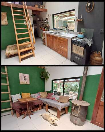 Dieses gemütliche Haus verfügt über eine hölzerne Loftleiter, eine kompakte Küche, einen rustikalen Herd, grüne Akzentwände, ein Ecksofa, einen holzbefeuerten Kamin, große Fenster und einen entspannten Hund.