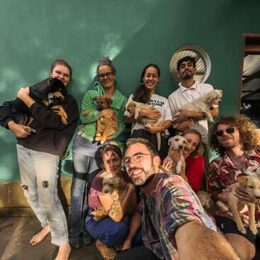 Um grupo de oito pessoas sorridentes posam juntas, cada uma segurando cachorrinhos fofos. Elas estão em frente a uma parede verde, irradiando felicidade, calor humano e um sentimento de comunidade.