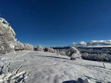 A breathtaking winter landscape shows a snowy field with tracks, frost-covered trees, a deep blue sky, and distant clouds, evoking a peaceful and serene atmosphere.