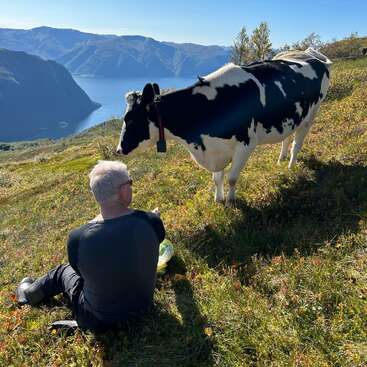 Un homme est assis sur une colline herbeuse, face à une vache noire et blanche. Derrière eux, de majestueuses montagnes bleues et de l'eau créent un paysage serein et pittoresque sous un ciel clair.