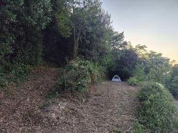 Una pequeña tienda de campaña está montada al borde de un bosque, rodeada de vegetación y matorrales, bajo un cielo despejado, lo que evoca una tranquila acampada al aire libre.