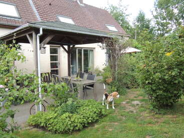 A cozy house with a tiled roof, covered patio, outdoor dining table, and lush green garden. A dog stands on the lawn near the plants.