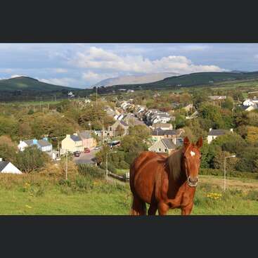 A imagem mostra uma cena serena de um cavalo marrom em um campo verdejante, com uma pequena cidade e colinas ao fundo sob um céu nublado.