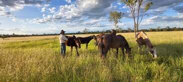 Un hombre con sombrero está de pie en un campo cubierto de hierba con cuatro caballos pastando tranquilamente. El cielo es azul con nubes dispersas, creando una atmósfera serena.