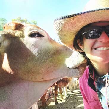L'image montre une femme vêtue d'une chemise rose et d'un chapeau de paille prenant un selfie avec une vache qui lui caresse le visage. La vache est brune et blanche.