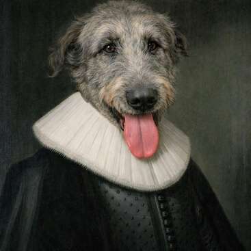 Das Bild zeigt einen Hund mit grauem Fell, der ein altmodisches, formelles Outfit mit einem weißen Kragen trägt und wie auf einem klassischen Porträt posiert.