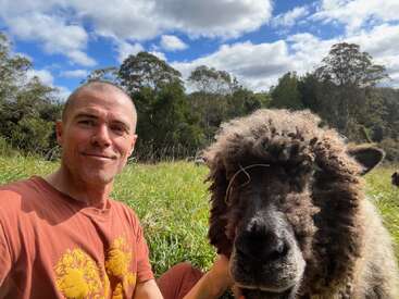 A smiling man wearing an orange shirt sits in a grassy field next to a fluffy, dark-colored sheep under a bright blue, partly cloudy sky.