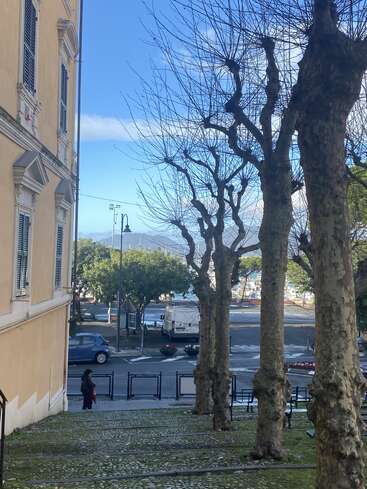Eine Reihe von blattlosen Bäumen säumt einen Kopfsteinpflasterweg neben einem gelben Gebäude. Autos und ein weißer Lieferwagen sind in der Nähe der entfernten Berge und des blauen Himmels geparkt.