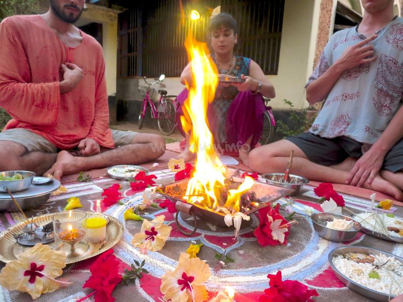 The image depicts a group of people gathered around a fire pit, surrounded by flowers and food, with a bicycle visible in the background.