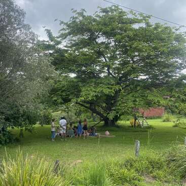 A group of people gathers for a picnic under a large, leafy tree in a grassy field. Children play nearby. The atmosphere looks peaceful and relaxed.