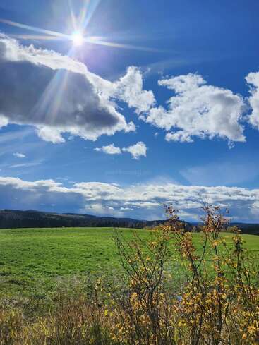 A vibrant green field under a bright blue sky, scattered with fluffy clouds. Sunbeams shine dramatically, while autumn bushes add golden color in the foreground.