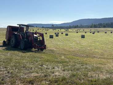 A red tractor sits in a sunny, open field dotted with numerous round hay bales. Green grass stretches into rolling hills and distant forested mountains.