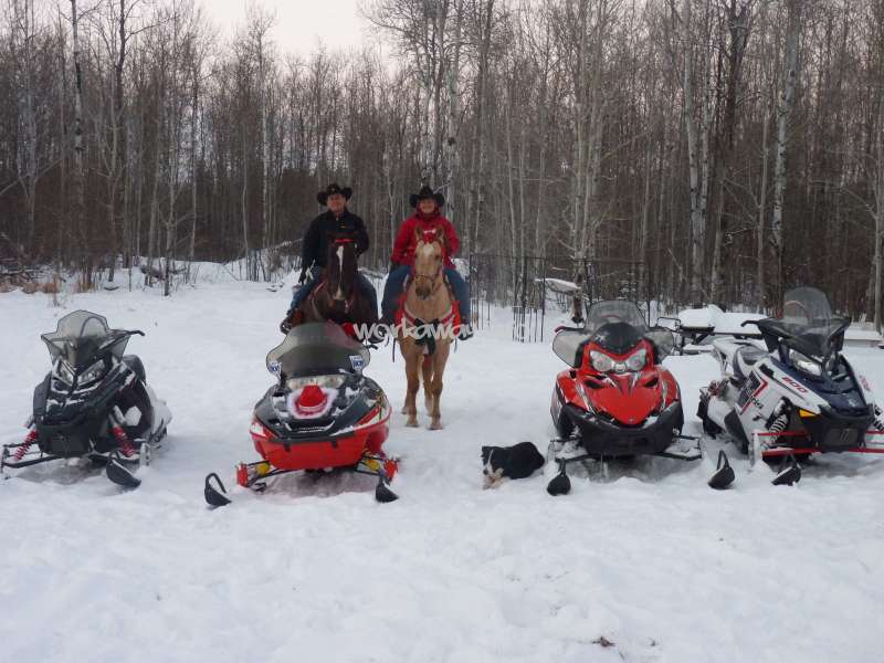 L'image représente deux personnes à cheval dans un paysage enneigé, entourées de motoneiges et d'un chien. La scène se déroule sur fond d'arbres.