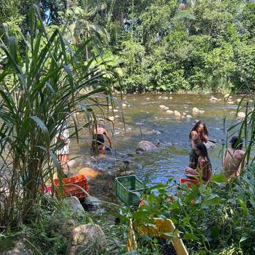 Several people are bathing and playing in a shallow, rocky river surrounded by lush greenery. Plastic crates and plants are visible in the foreground near the water.