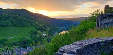Golden sunset over lush green hills and vineyards, with a quiet river winding through the valley. Stone ruins and wild vegetation add rustic charm and tranquility.