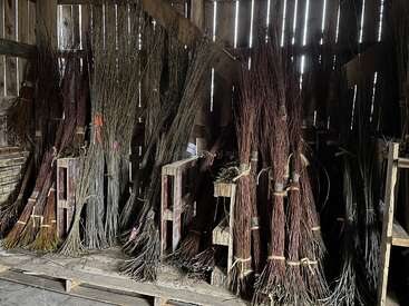 Bundles of dried willow branches of various colors are neatly organized and tied with twine, stored upright in a rustic wooden shed with slatted walls.