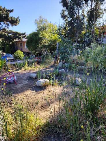 A sunny backyard garden with tall grass, wildflowers, large rocks, and scattered outdoor furniture. Trees and a wooden house provide a peaceful, rustic setting.